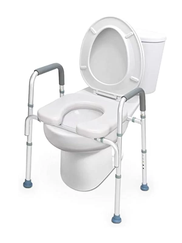 Raised toilet seat with supportive arms
