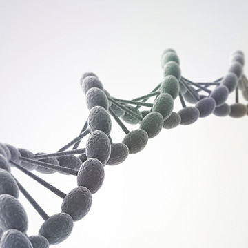 DNA helix structure representing thyroid support